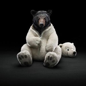 Meet your Posher, Derik